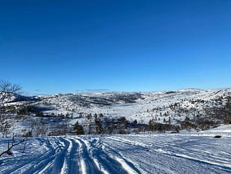 Verdal snøscooterløype starter på Verdal i Agder, og går nordover på fjellet🏔 Løypa er åpen for kjøring når man har kjø…